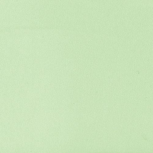 【ときわ28集-746】 色彩耐油紙ＴＡ－Ｃ０９ＧＮ グリーン ３寸