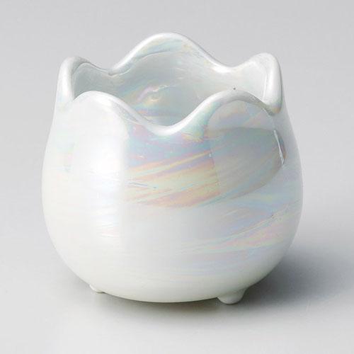 【ときわ28集-84】 内外パールつぼつぼ珍味 小(本商品の販売を終了致しました)