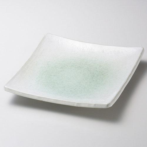 【ときわ28集-186】 新緑７.０正角皿