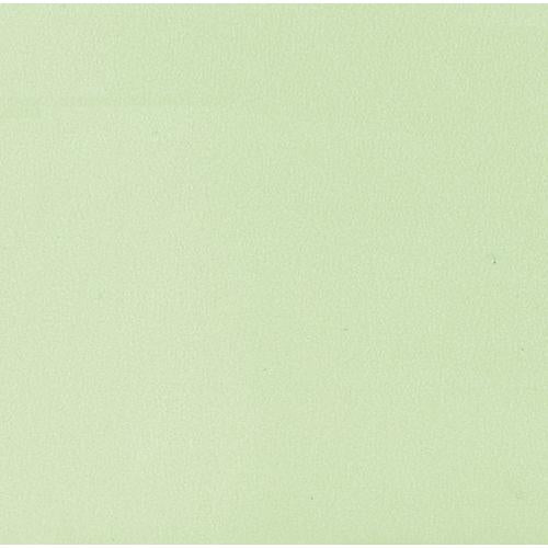 【ときわ28集-746】 色彩耐油紙ＴＡ－Ｃ１２ＧＮ グリーン ４寸