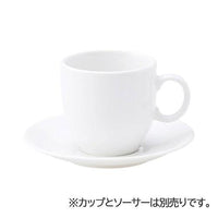 ポポラーレ  アメリカンカップ (本商品の販売を終了致しました)