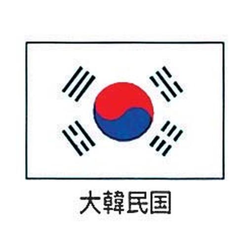 エクスラン万国旗 70×105cm 大韓民国  9-2552-0801