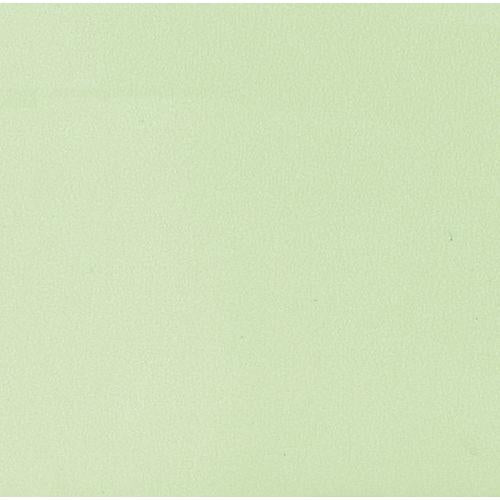 【ときわ28集-746】 色彩耐油紙ＴＡ－Ｃ１８ＧＮ グリーン ６寸