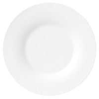 シーニュ 27cm丸皿