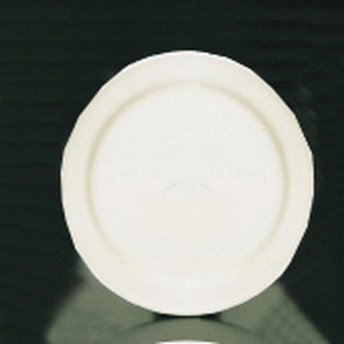 ブライトーンＢＲ700（ホワイト） ディナー皿  25cm  9-2340-0201